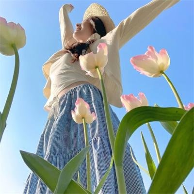 鸟儿们的奇幻冒险